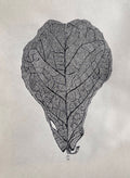 "Contemplation" Print