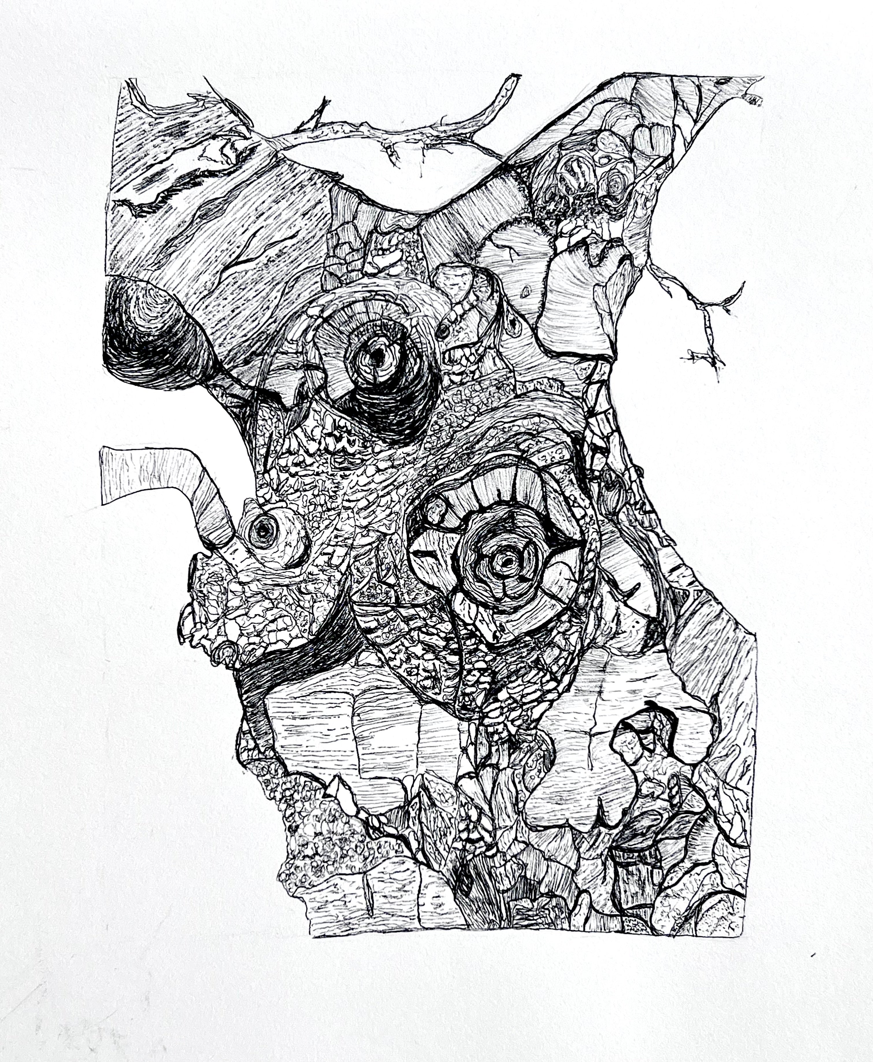 "Hidden Life" Print