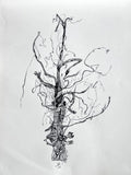 "Hidden Network" Print