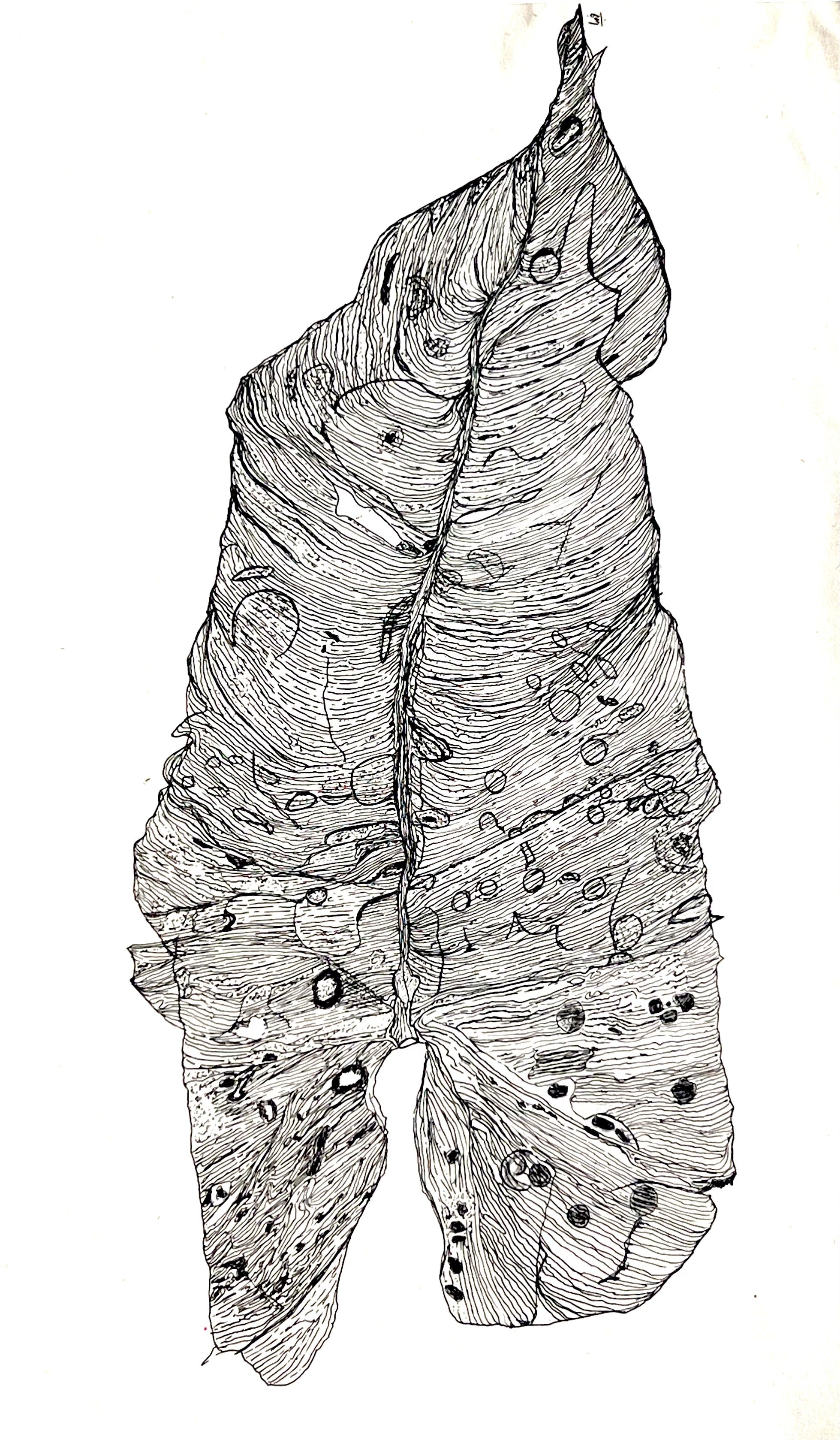 "Memory of a Leaf" Print