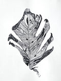 "Revelation" Print