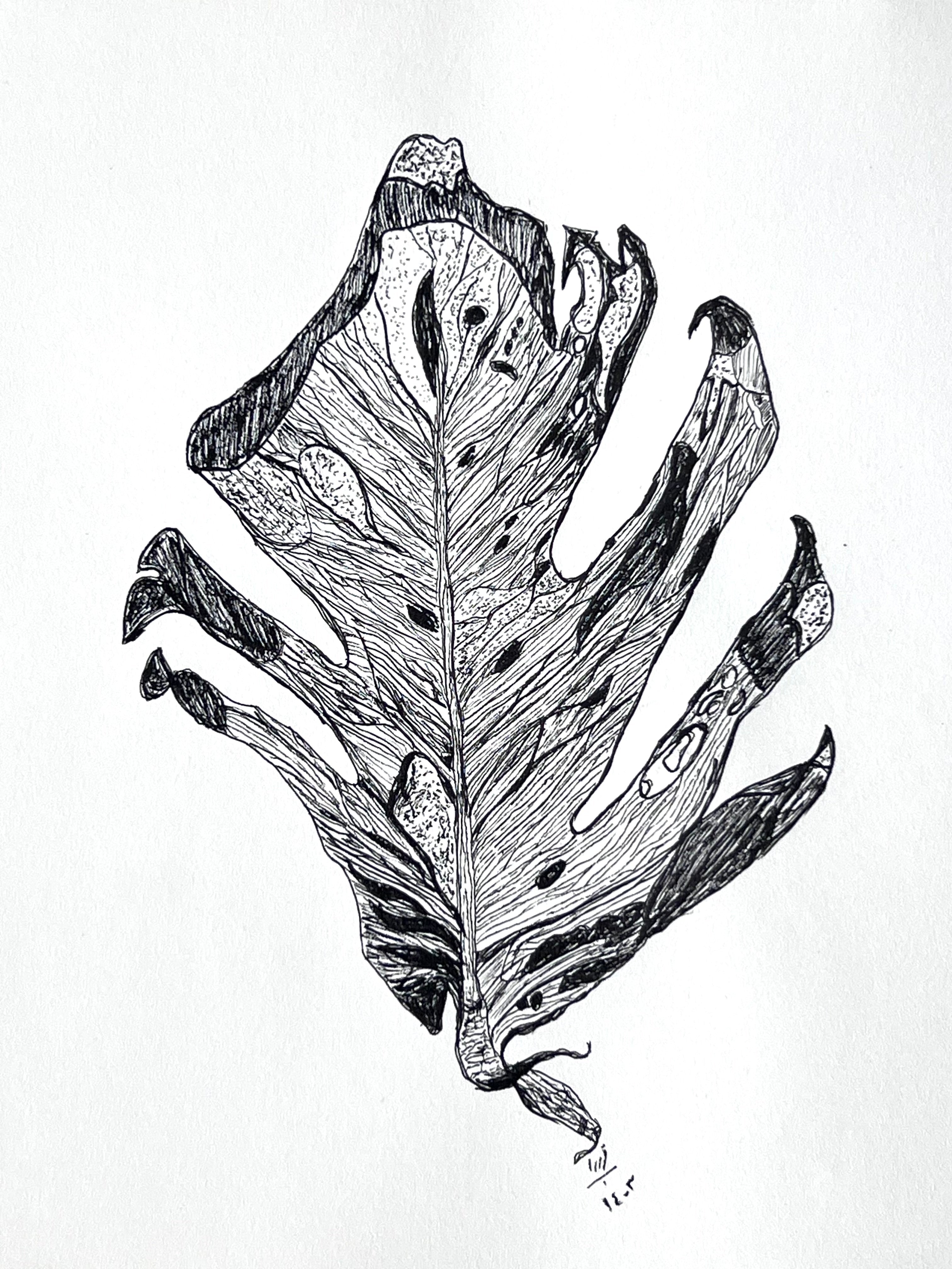 "Revelation" Print