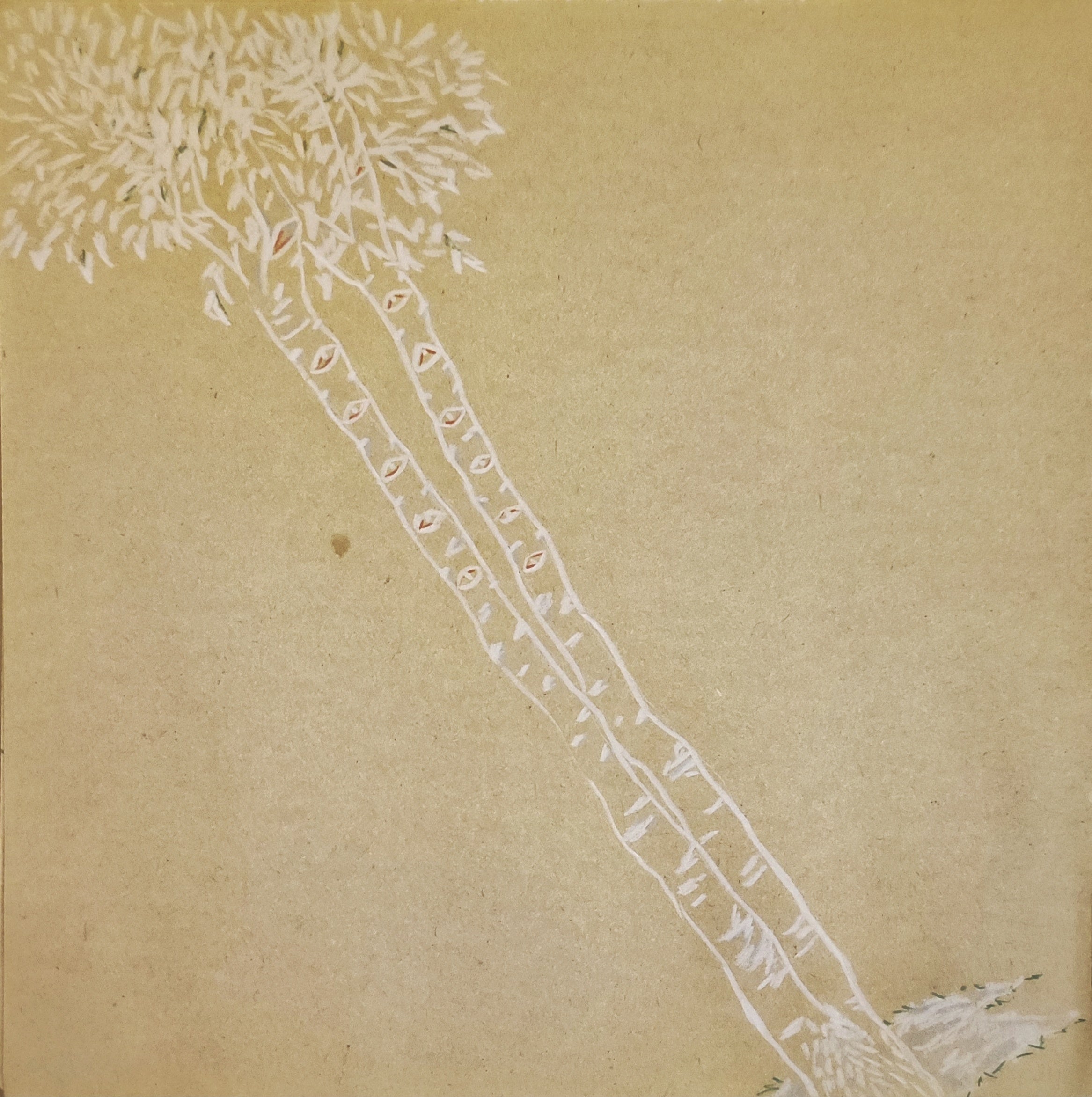"The Lonely and Trees No.2 " Framed Print