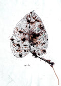 "Wound Within: Print
